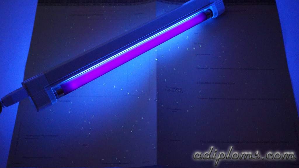 Диплом бакалавра 2014-2025 Фото Диплом бакалавра 2014-2025 Фото