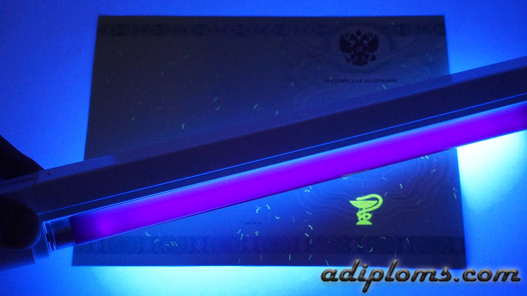 Медицинский сертификат специалиста Медицинский сертификат специалиста